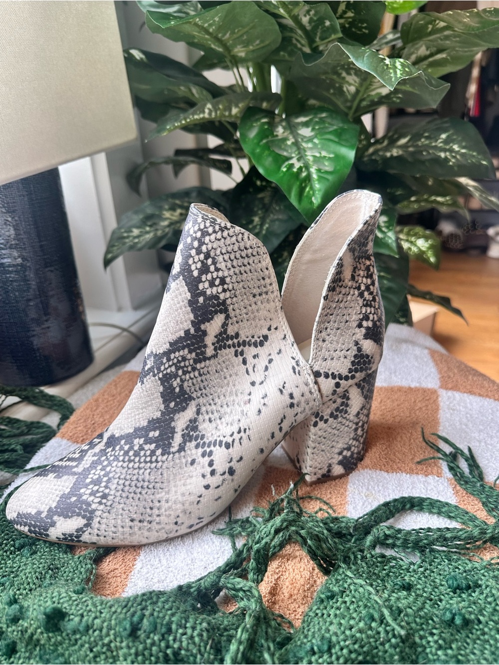 Steve Madden Snake-Print Ankle Booties in Black and Cream
